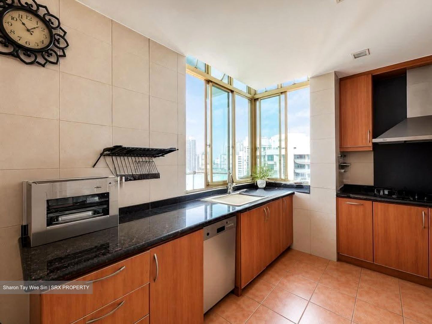 Melrose Park (D10), Condominium #607417421